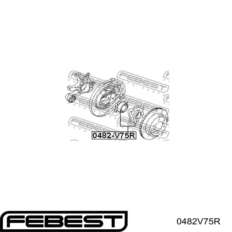 0482V75R Febest Buje de rueda trasero