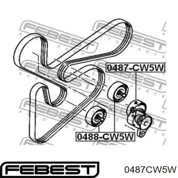 Polea tensora correa poli V 0487CW5W Febest
