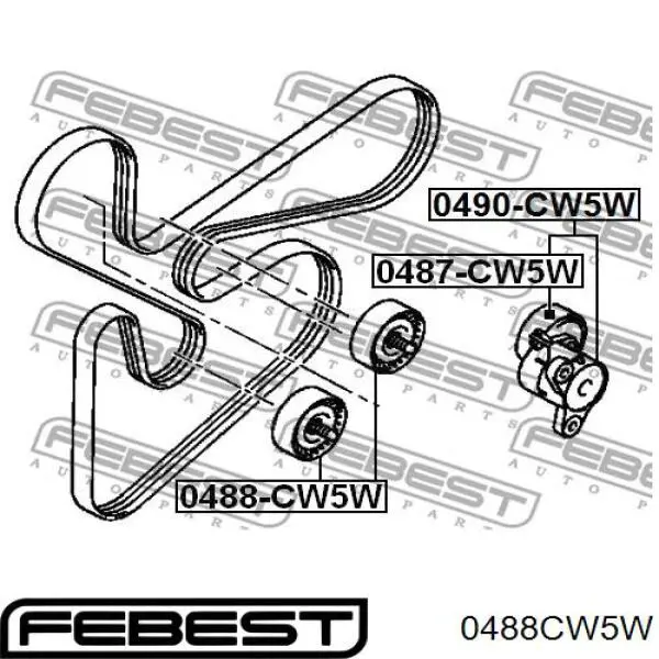 0488CW5W Febest polea inversión / guía, correa poli v