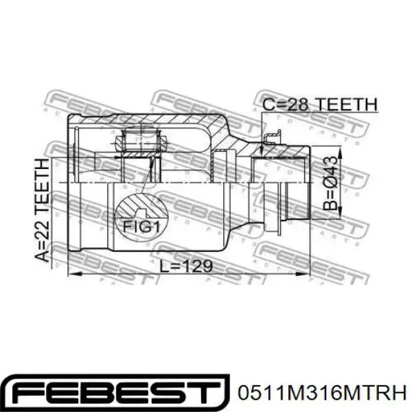 Junta homocinética interna delantera derecha Febest 0511M316MTRH precio, desde 50,82 EUR