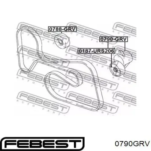 Tensor de correa poli V Q1790136 Q-fix