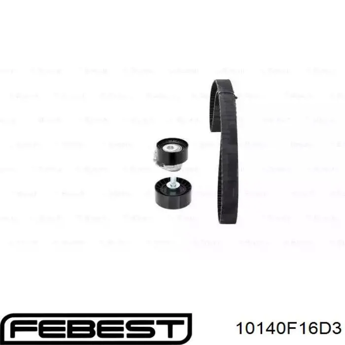 Correa distribución 10140F16D3 Febest