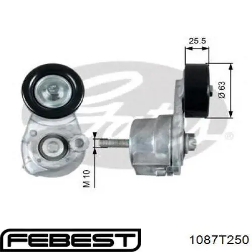 Comprar 1087T250 Febest Polea tensora, correa poli V