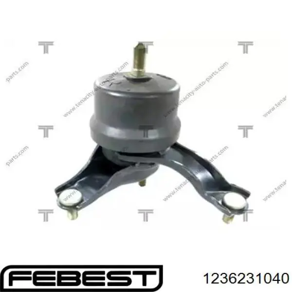 1236231040 Febest soporte de motor derecho