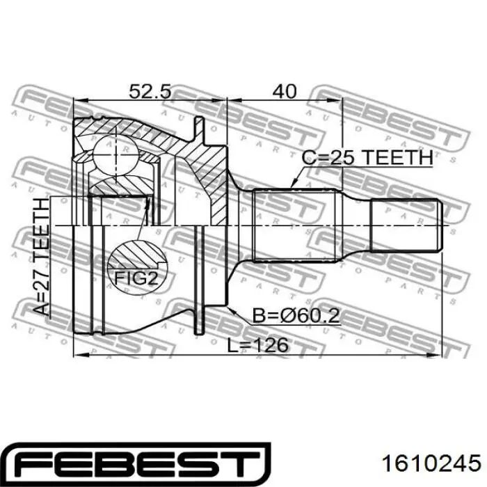 0036478 GKN-Spidan junta homocinética exterior delantera