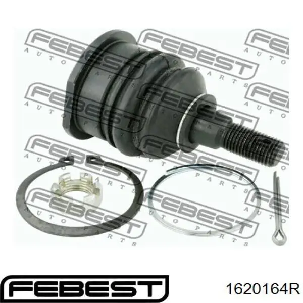 Comprar 1620164R Febest Rótula inferior de suspensión trasera