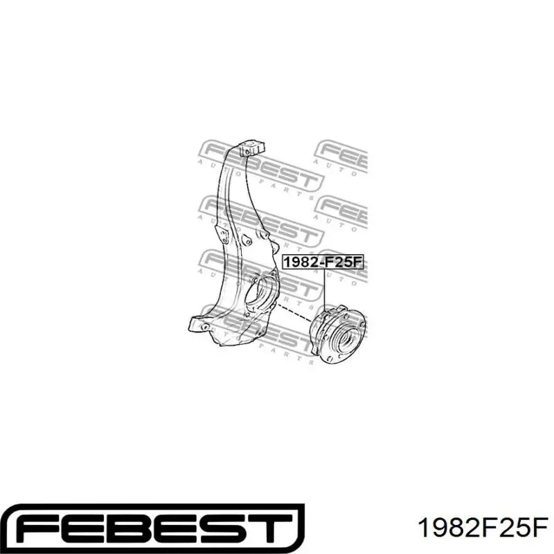 1982-F25F Febest cubo de rueda delantero