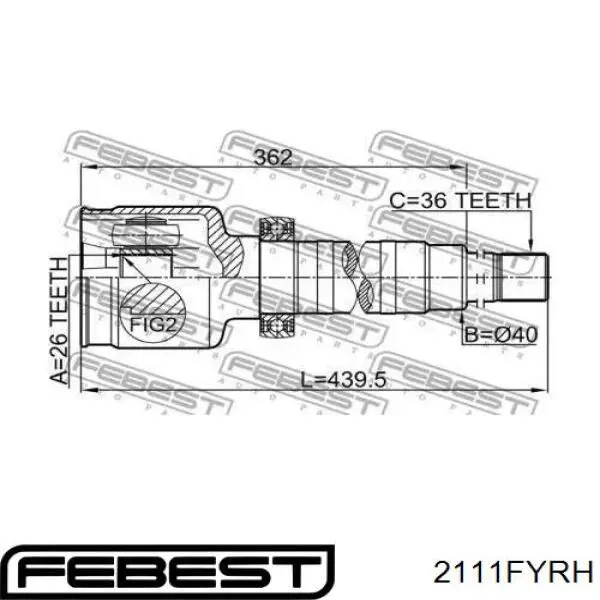 2111-FYRH Febest junta homocinética interior delantera derecha