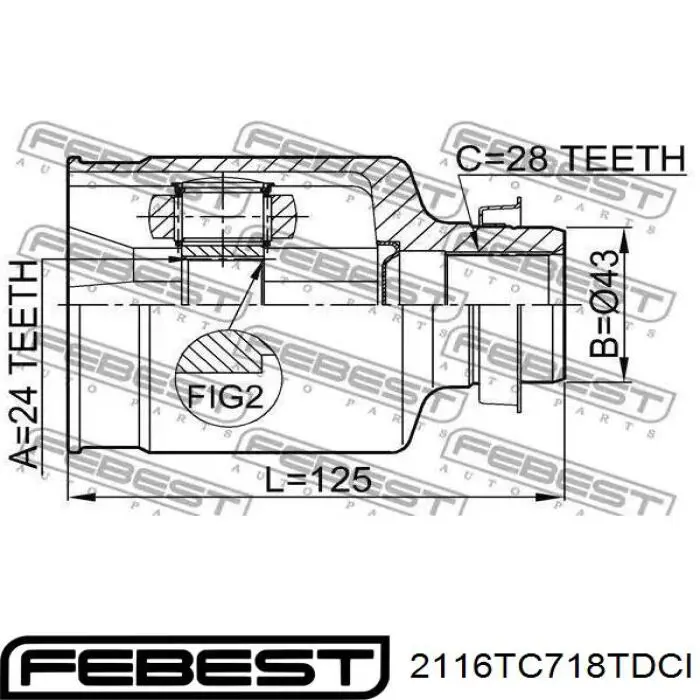 Junta trípode interior 2116TC718TDCI Febest