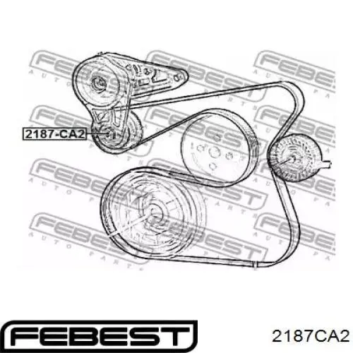 Comprar 2187CA2 Febest Polea tensora, correa poli V
