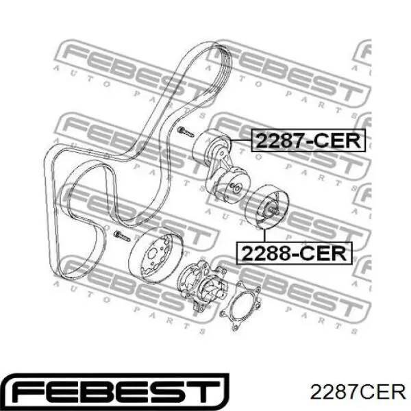 2287CER Febest rodillo, correa trapecial poli v