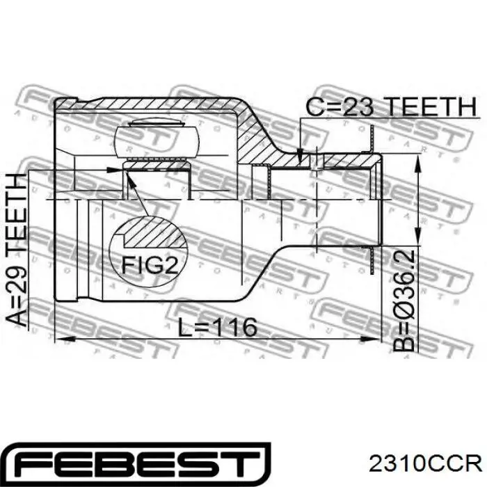 2310CCR Febest Junta homocinética exterior trasera