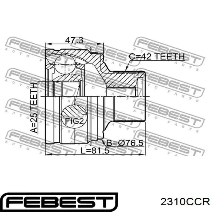 Junta homocinética exterior trasera 2310CCR Febest