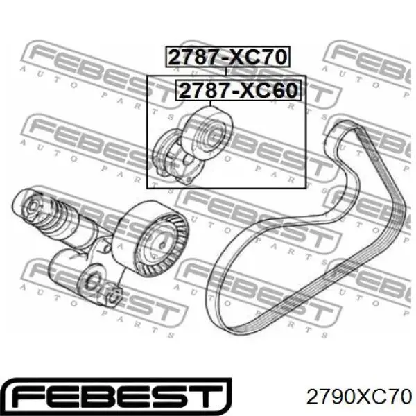 2790-XC70 Febest tensor de correa, correa poli v