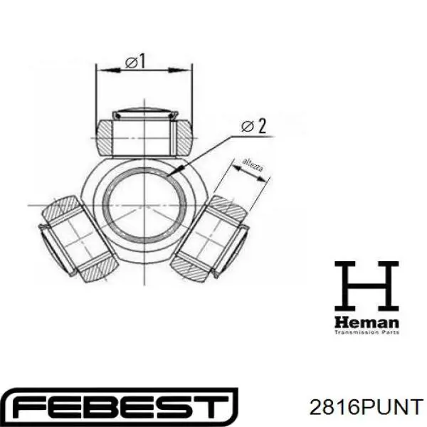 2816PUNT Febest