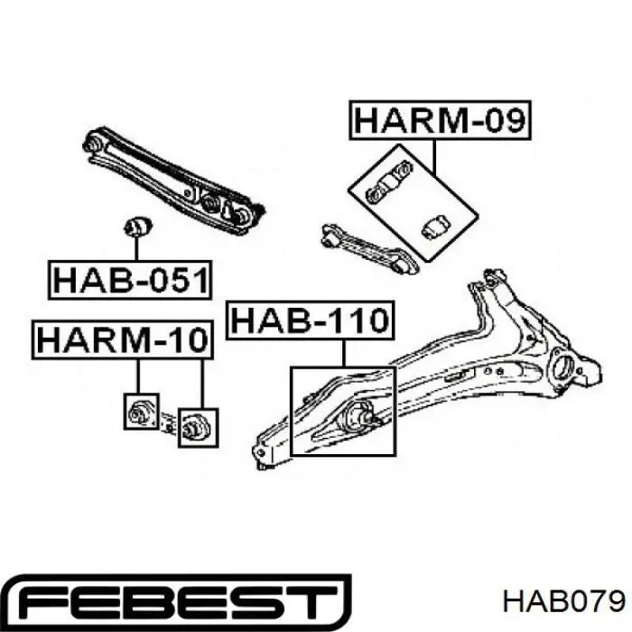 HAB079 Febest Buje de mangueta trasera