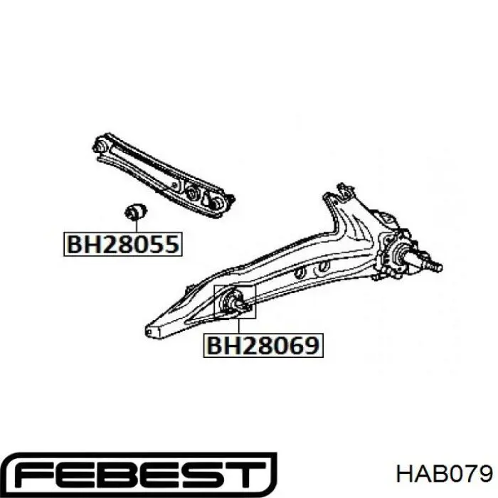 Buje de mangueta trasera HAB079 Febest