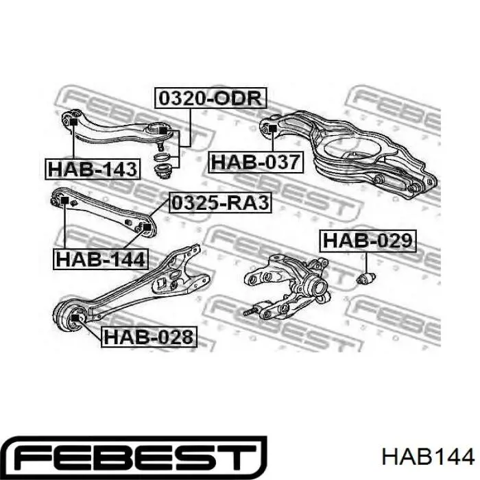 Buje del brazo transversal trasero CTR GV0249