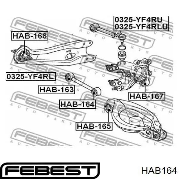 Comprar HAB164 Febest Buje exterior del brazo transversal trasero