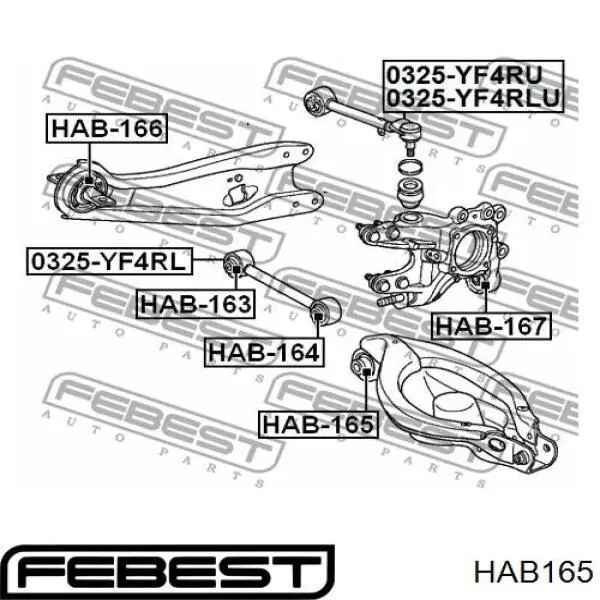 HAB-165 Febest suspensión, brazo oscilante trasero inferior