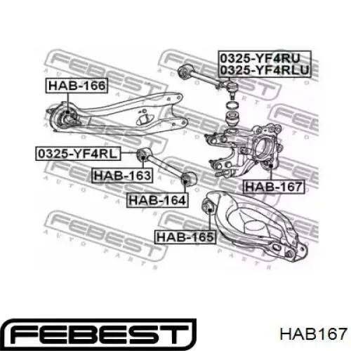 Buje de mangueta trasera Febest HAB167