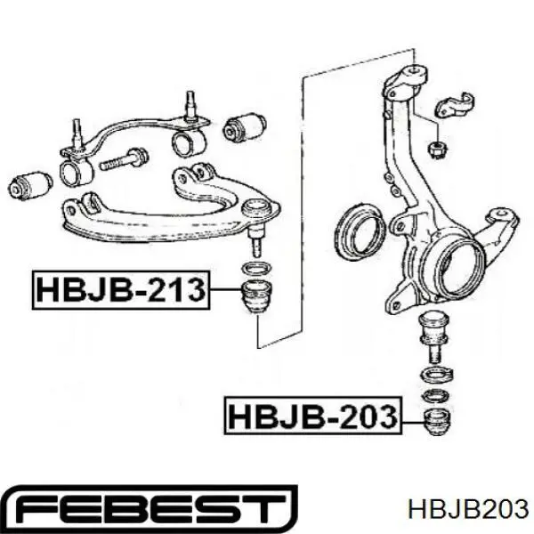 HBJB203 Febest rótula de suspensión inferior