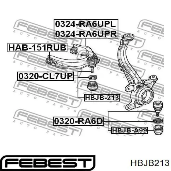 Fuelle superior de rótula HBJB213 Febest
