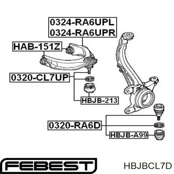 Guardapolvo de rótula inferior Febest HBJBCL7D precio, desde 5,96 EUR