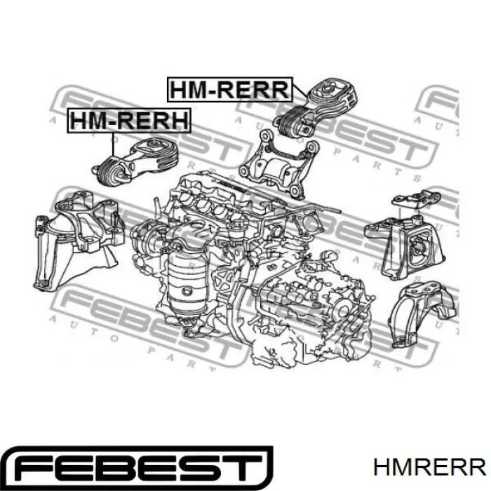 HM-RERR Febest soporte de motor trasero