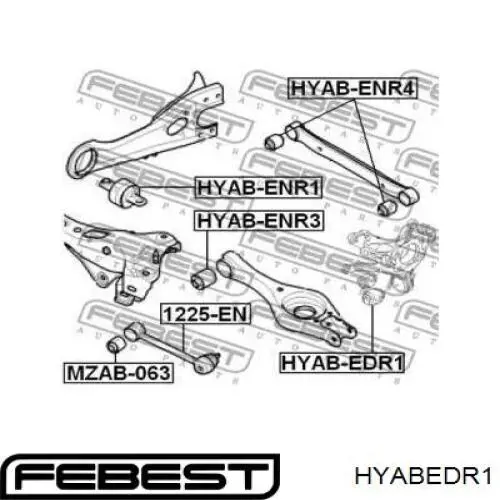 Buje de mangueta trasera HYABEDR1 Febest
