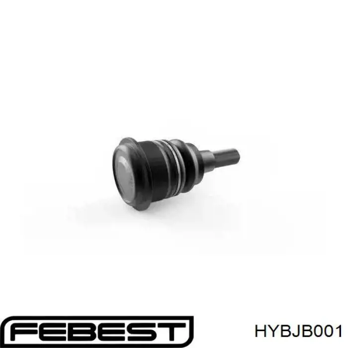 Guardapolvo de rótula inferior HYBJB001 Febest