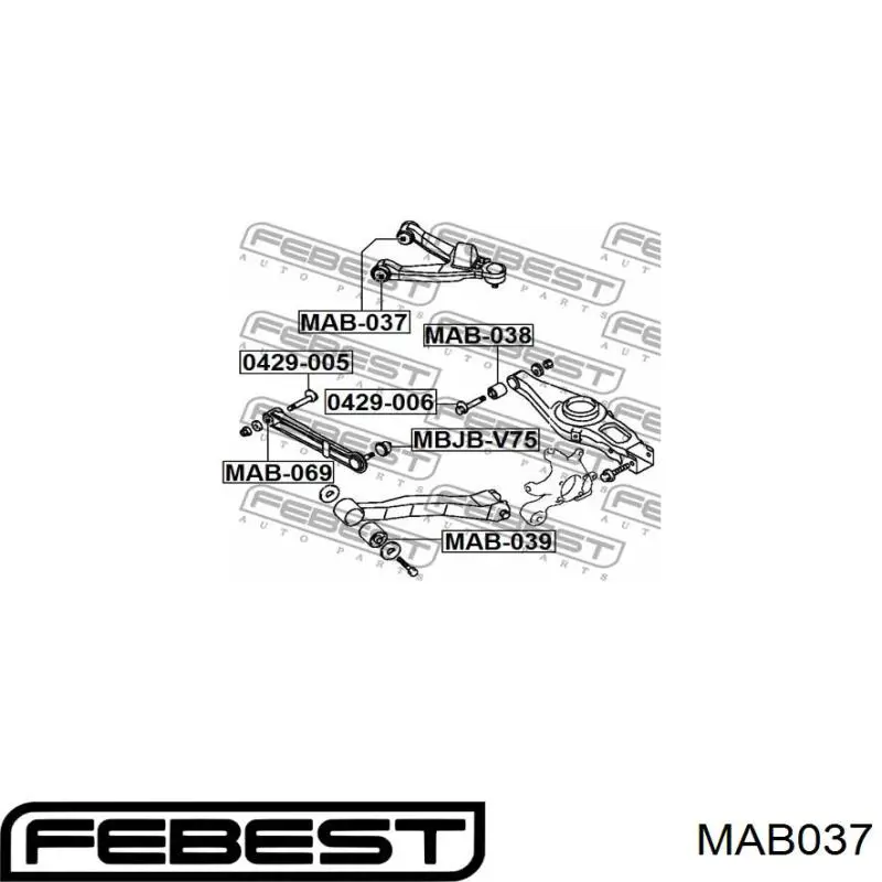 MAB037 Febest Silentblock del brazo superior de suspensión trasera