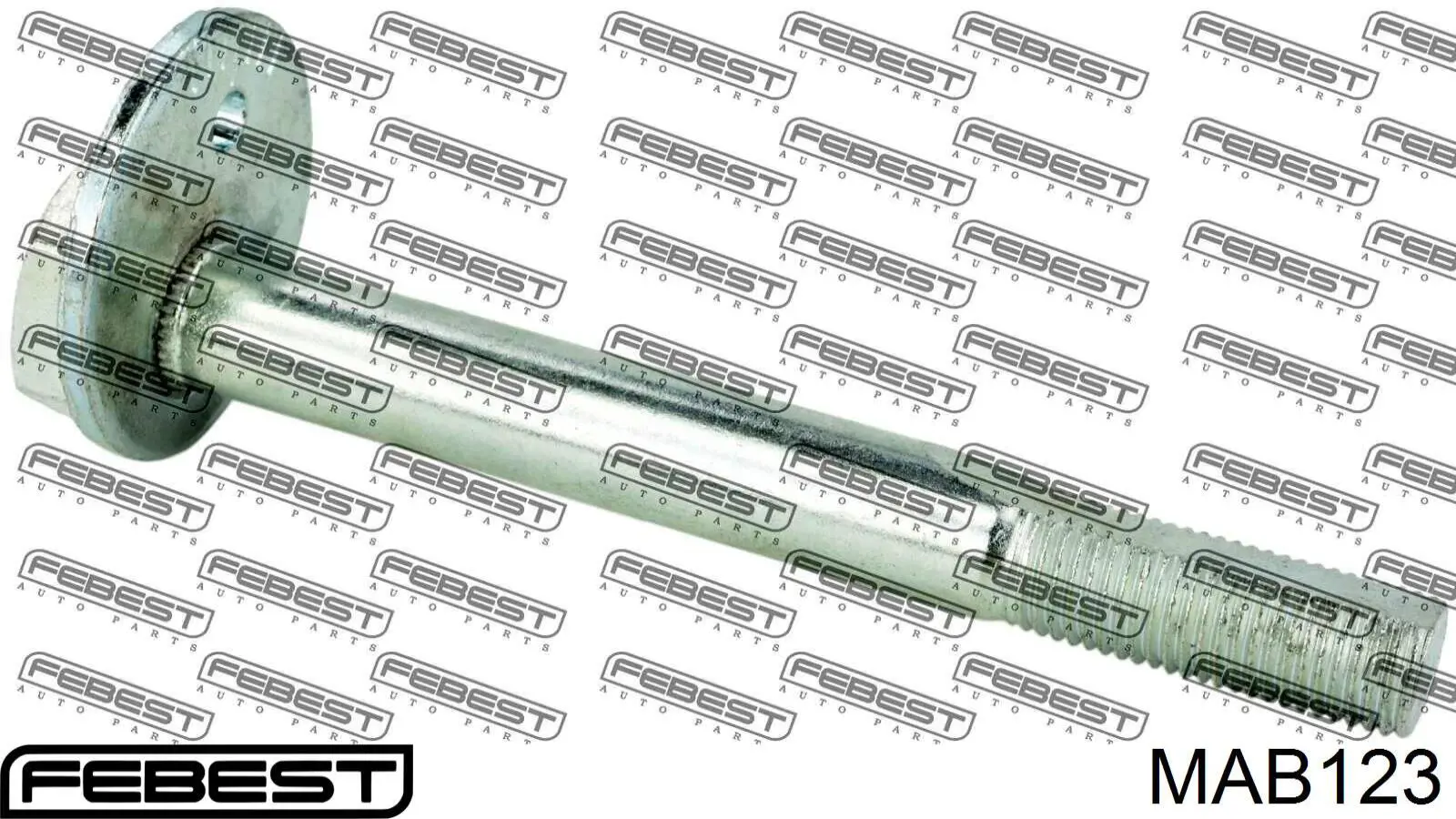 Buje del brazo inferior trasero MAB123 Febest