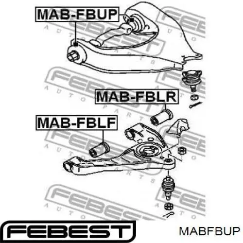 MABFBUP Febest