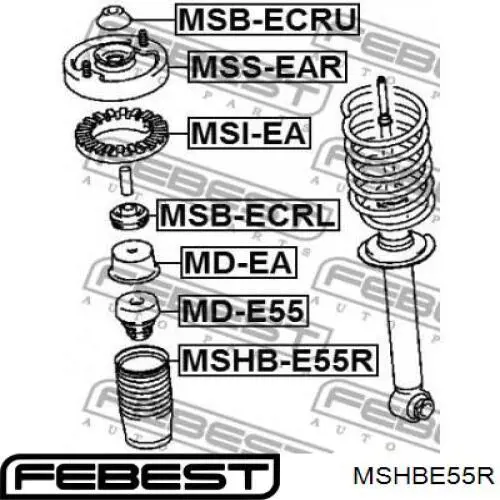 MSHB-E55R Febest caperuza protectora/fuelle, amortiguador trasero