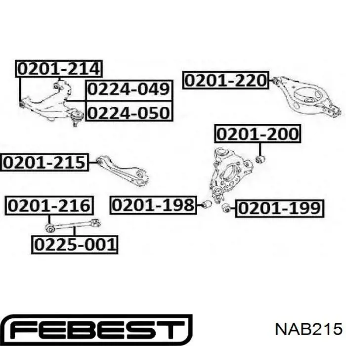 Buje del brazo transversal trasero NAB215 Febest