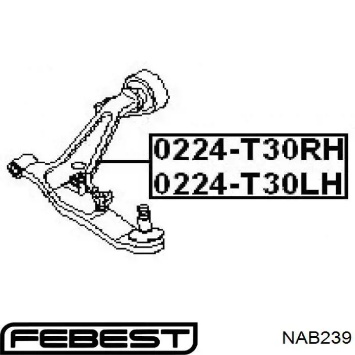 Silentblock del brazo de suspensión NAB239 Febest