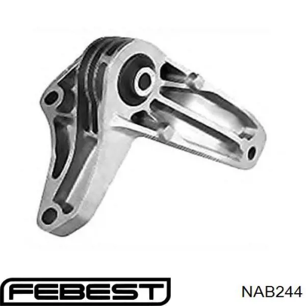 Buje de mangueta trasera NAB244 Febest
