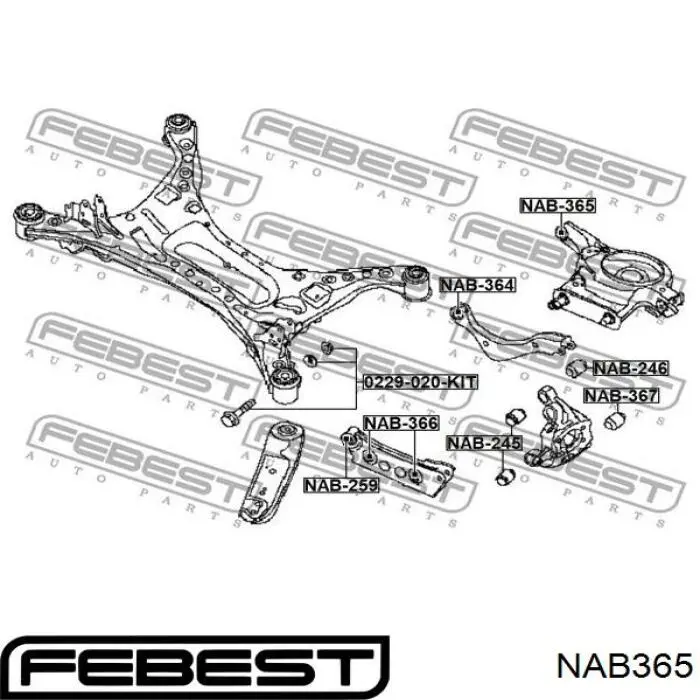 NAB365 Febest suspensión, brazo oscilante trasero inferior