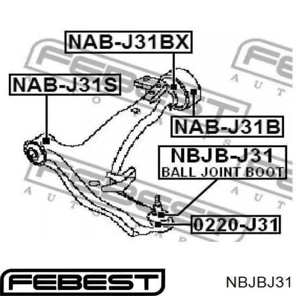 Comprar NBJBJ31 Febest Guardapolvo de rótula inferior