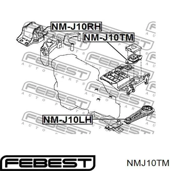 NMJ10TM Febest soporte, motor izquierdo, trasero