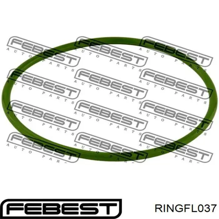 RINGFL037 Febest