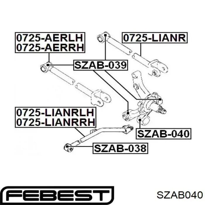 Buje de mangueta trasera SZAB040 Febest