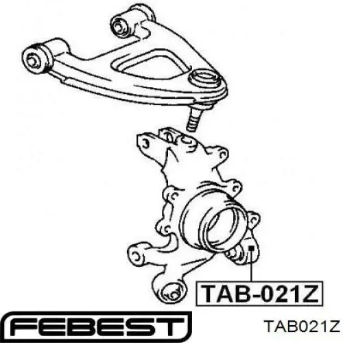 Buje de mangueta trasera Febest TAB021Z precio, desde 9,43 EUR