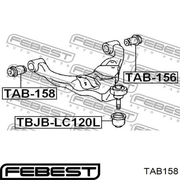 TAB158 Febest Silentblock de brazo de suspensión delantero inferior