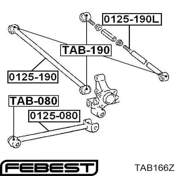 Buje de mangueta trasera TAB166Z Febest