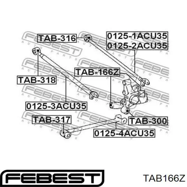 Comprar TAB166Z Febest Buje de mangueta trasera