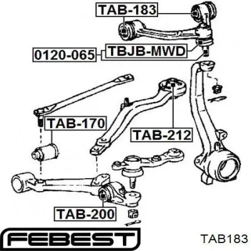 TAB183 Febest silentblock de brazo de suspensión delantero superior