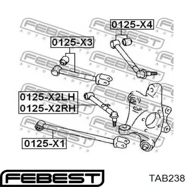 Buje de mangueta trasera Febest TAB238