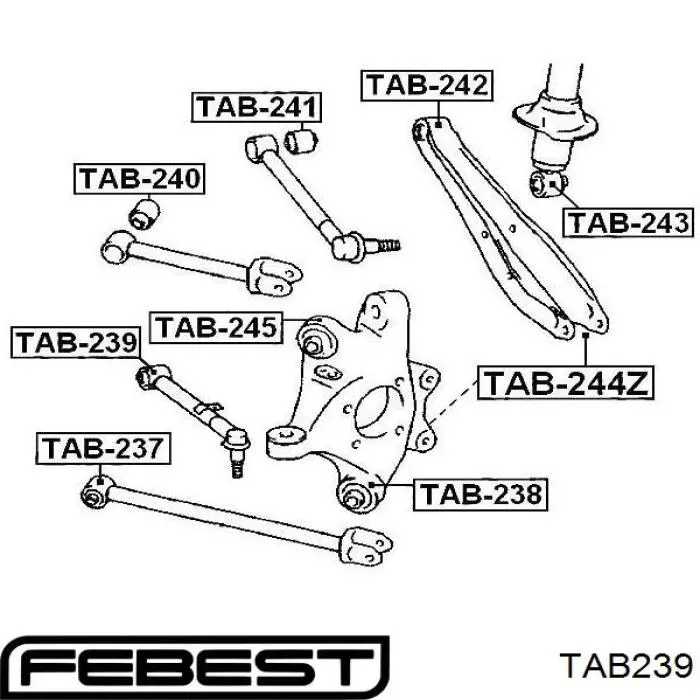 TAB239 Febest silentblock de brazo suspensión trasero transversal